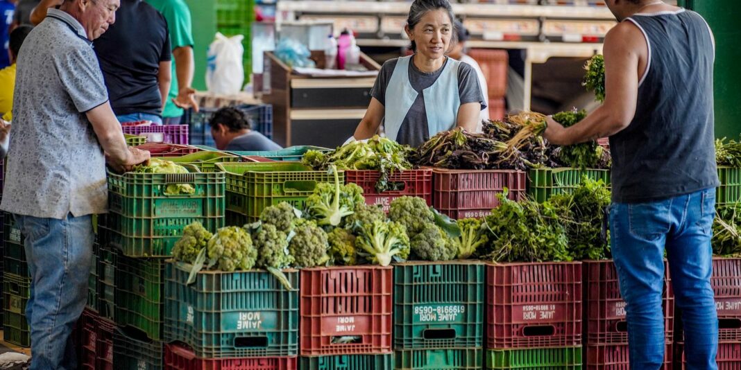 Anvisa começa monitoramento de resíduos de agrotóxicos em alimentos