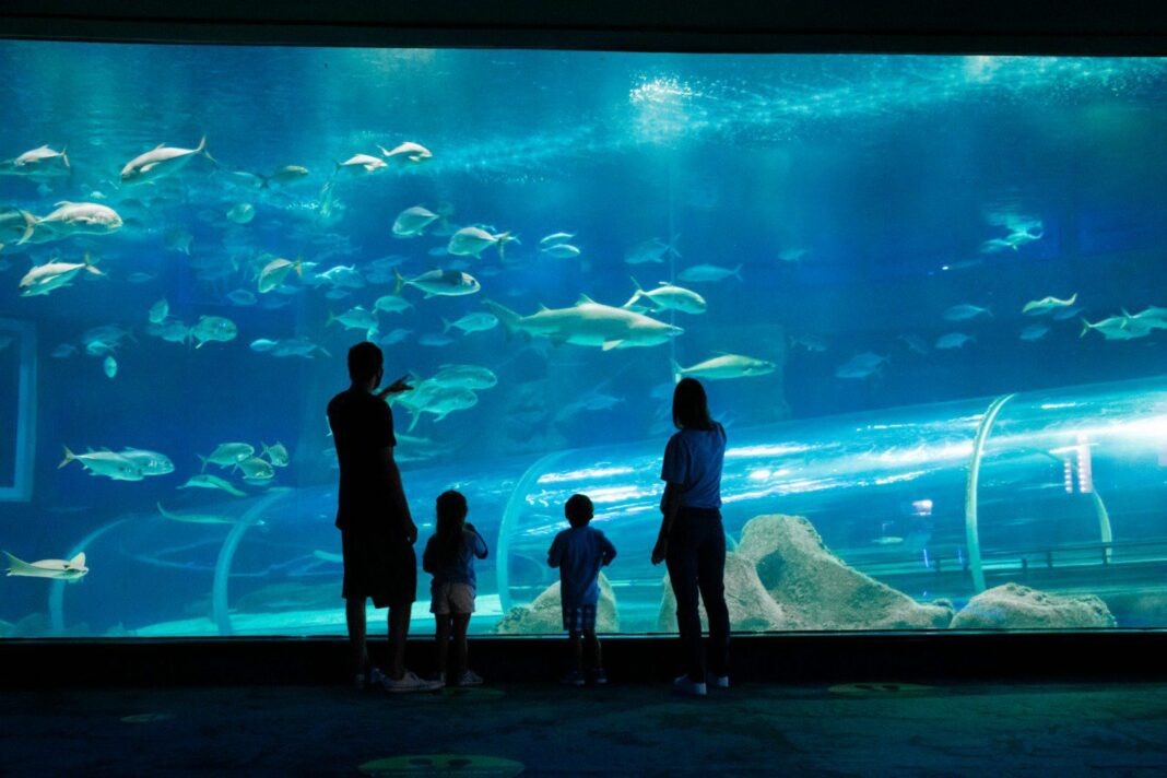 Aquário gigante para turismo e estudos em Guarapari
