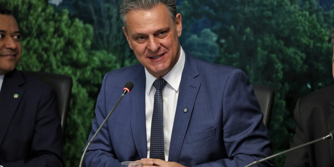 Brasil pode voltar a exportar carne de frango em 28 dias