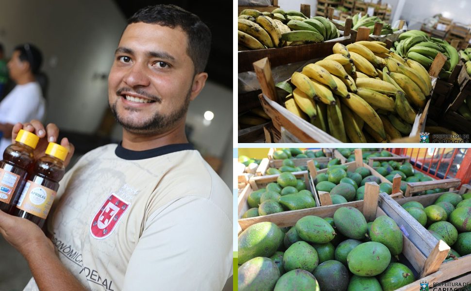 Cooperativa de Cariacica fortalece agricultura familiar e gera renda no campo