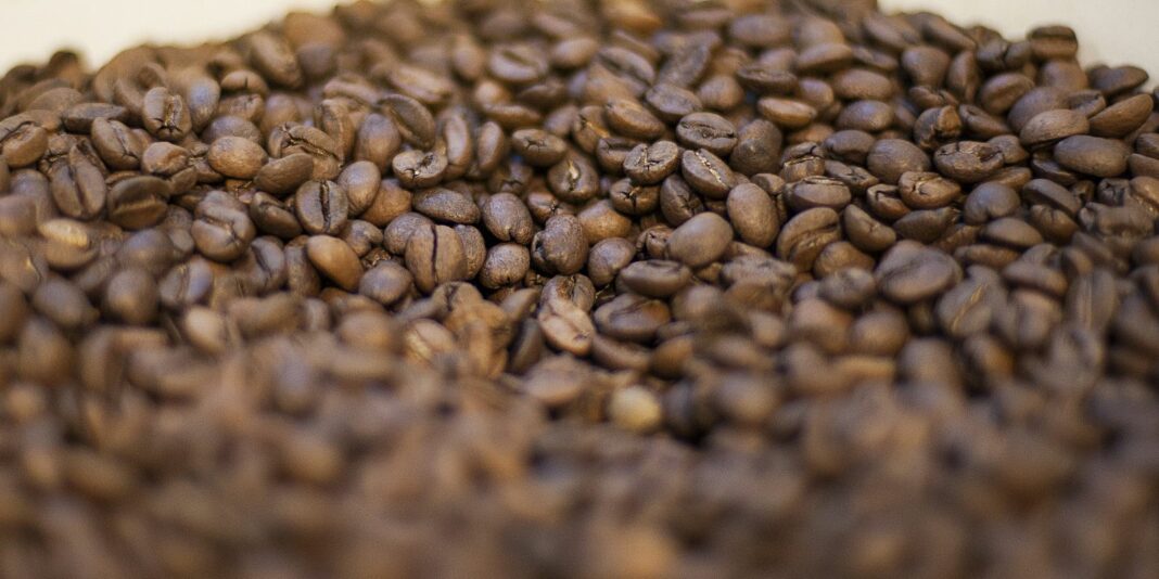Governo reprova marcas de café por serem impróprias para consumo