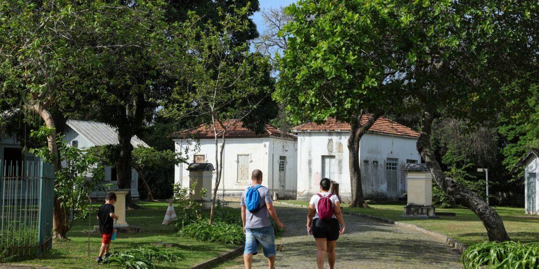 Programação no Mast celebra os 100 anos da visita de Einstein ao Brasil