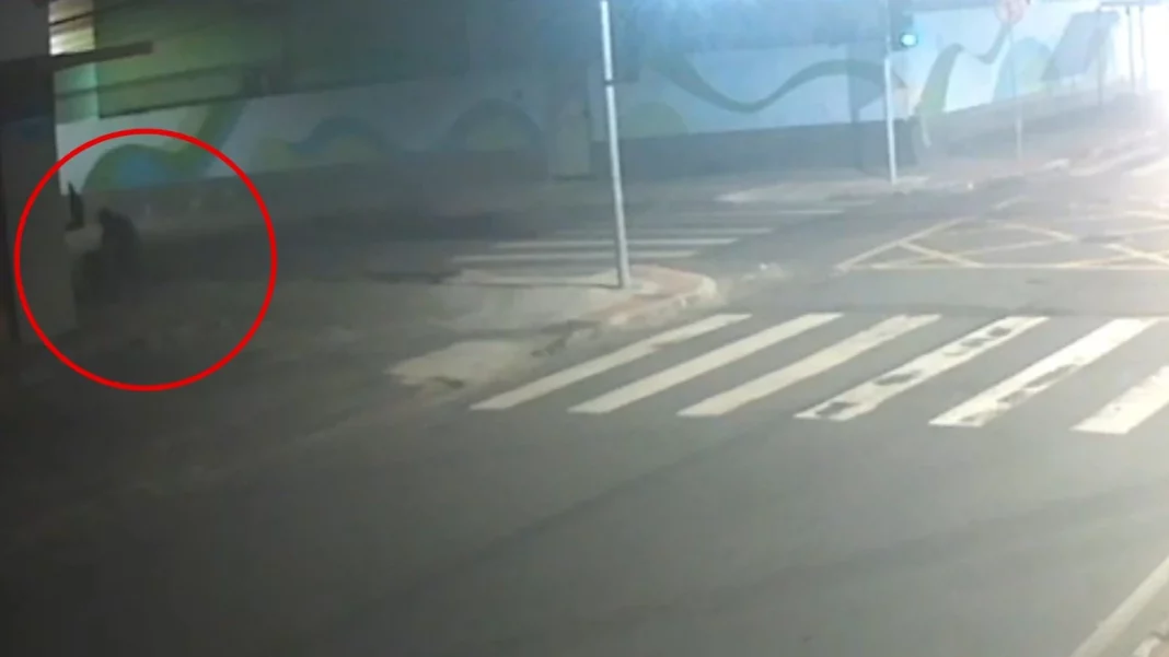 Mecânico é esfaqueado a caminho do trabalho após assalto a ônibus na Serra