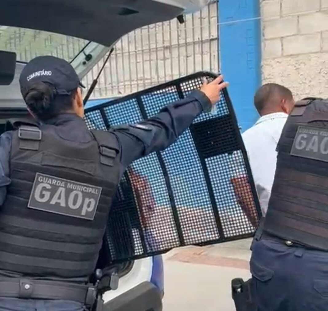 Mulher é agredida pelo ex-marido e Guarda de Vitória localiza o suspeito em Vitória