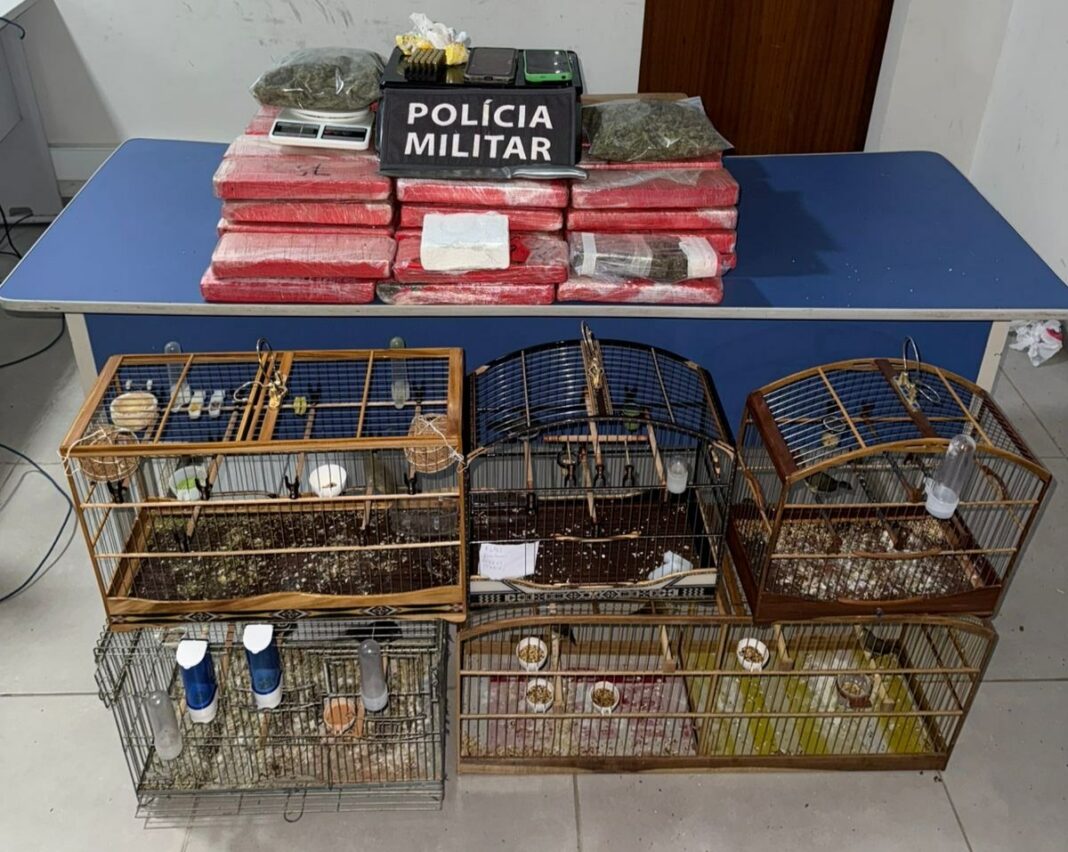 Casal é preso com grande quantidade de drogas, munições e pássaros silvestres em São Mateus